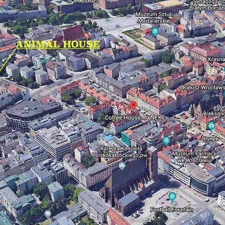 Animal House - StayinВроцлав Екстериор снимка
